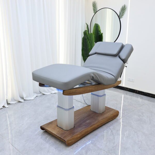 Electric Beauty Bed EBB22