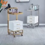 Salon Trolley BS01
