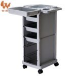 Salon Trolley BS06