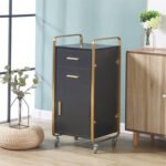 Salon Trolley BS10