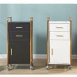 Salon Trolley BS10
